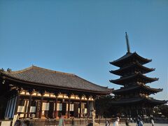 興福寺 東金堂と五重塔