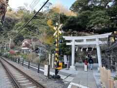 お次に行った御霊神社は、境内の撮影禁止になっていました。
こちらには猫宮司さんのウッシーくんがいます。
牛柄なのでウッシーくんらしいです。
昔ナデナデさせてもらったことあります。

この踏切は江ノ電と紫陽花のフォトスポットらしいです。