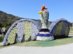 ビオラで着飾った〝 花火鳥 ”
　高さ４メートル、幅３０メートルと大きいです。