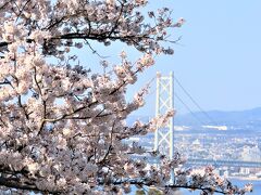 兵庫県立淡路島公園 展望広場から明石海峡大橋