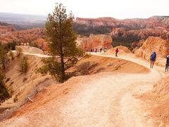 トレッキングで Queen Garden Trailを下り、Navajo Look Trailを登ります。上下標高差はおよそ600Ftの1時間ほどのお手軽トレイルです。