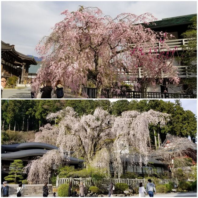 身延山・いさご屋旅館に泊まってきました & 山梨の秘湯 満喫の旅