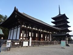 興福寺　東金堂（国宝）
薬師如来、日光、月光菩薩立像、四天王像など国宝の仏像
建物も国宝なら、中にいらっしゃる仏像も国宝
それに宝物館の収蔵品も含めて国宝だらけ
そう、興福寺は国宝の宝庫なのだ
こんなに国宝の密度が高いところはないのではないか、と思うほど

お坊さんの案内がわかりやすくて親切で、色々興味深い案内をしていただいた
東金堂は5回の火災にあったという
こういう木造建築にとって火災は大の大敵
泥棒に入ってロウソクの火が燃え移ったとか、南都の焼き討ちという人為的なものは悲しいが、天災もやりきれない
