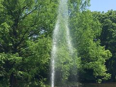 大宮公園は大宮駅の北東1.5kmの場所にあり、敷地内の南西に神社があります。
神社の近くに白鳥池という小さな池があり、噴水が上がっていました。
