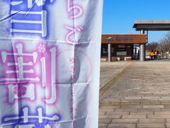 　３月５日、天候にも恵まれたので、「越後丘陵公園」の雪割草まつりに出かけてきました。(  https://echigo-park.jp/   )