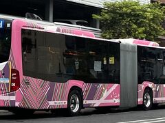 　2023年4月15日(土)雨、
　福岡雨女の自覚があるので、常に雨前提で、洋服やリュック、靴など全て防水スプレーをかけるのが、旅の前日のお仕事です。
　今日は午前中、行橋のお寺に墓参りに行き、八幡のイオンに行き、夜従妹と、ディナーの予定。ちょこちょこあちこちに出かける日です。
　2両連結のバス、昔の電車通りを、砂津方面に向けて、進んでます。ピンク色が可愛いです。普通のバスの色と違うので、抜かす時も、長い事を分かった上で抜かすでしょう。