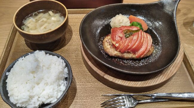 盛岡駅バスターミナルには市内の渋滞で定刻より15分遅れで到着です。<br />この後は東京まで列車の乗り継ぎであまり余裕が無いので、少し早いけどランチにします。<br /><br />いわて牛を使ったハンバーグがおいしそうだったので「みのるダイニング」にしましたが開店直後でしたが意外と時間が掛かりあまり余裕が亡くなったのが残念です。