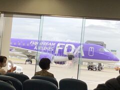 県営名古屋空港。この紫かな？違った