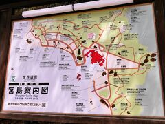 本当は大聖院に行こうと思っていたのですが、この時点では少し疲れていたのか、すっかり忘れており、厳島神社の裏手に向かってしまいました。。