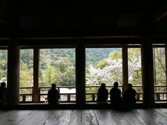 心地好い風に吹かれながらお花見。