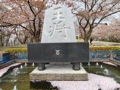 米沢から、東北中央自動車道で天童まで。

天童の桜の名所・天童公園に行きました。