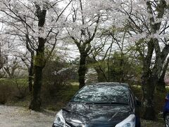 駒ヶ根の馬見塚（まみづか）公園に来ました。
レンタカーと桜を記念に撮影。