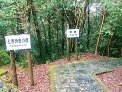 安房の街近くまで来ましたが、雨はもうすっかり上がっている様子。これならヤクスギランドのトレッキングに行くという手もあるなぁ…と思いついてしまったら、もうダメでした。ヤクスギランドに行くならゆっくり昼食をとっている時間はないので、昼食は朝の残りのパンやカロリーメイトで簡単に済ませることにして、急遽ヤクスギランドに向かいました。
安房の街から車で山道を行くこと30分。メジャーな観光スポットなので道路はもっといいのかと思ったら、途中からすれ違いギリギリの狭い道路になりました。しかし、昨日西部林道を乗り越えた私にとっては問題なし。(ちょっとは成長した？)
14:29、ヤクスギランドに無事に到着しました。麓の方は完全に雨が上がっていたので、トレッキングに行けると判断したのですが、ヤクスギランドがある山の中はついさっきまで降っていたような風情。時々、小雨もパラついたりしています。
ヤクスギランドの入口では協力金500円を支払います。標高1000m越えの山の中なので、いろいろ維持管理にお金がかかるのだと思います。支払ったときに受け取るチケットは捨てないようにしてくださいね。このチケットには白谷雲水峡の協力金の割引券(200円)がついています。(逆の場合も同様)