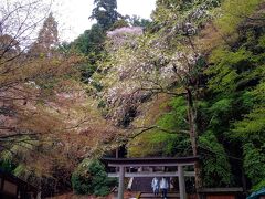 金峯神社