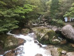 6:48、白谷雲水峡に到着しました。もう入口からして風情があり、期待が高まります。