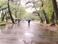 平塚市総合公園までやってきたが、あいにく雨は降り続く