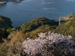 展海峰公園から
絶景です