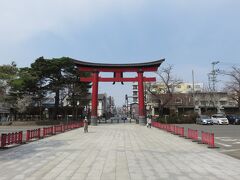 朝食もいっぱい食べたし，まずは盛岡八幡宮へ。

途中石割桜の横を通っていったのだけれも，蕾の状態だったのでピンク色をしていました。