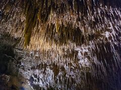 おきなわワールドの地下にある玉泉洞。というか、おきなわワールドが玉泉洞の上につくられたのだね。

期待していなかったけど、結構な規模の鍾乳洞で、見ごたえあった。