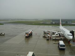 三沢空港周辺は厚い雲と霧に覆われていて、着陸の直前に地上が見えました。羽田から約１時間で霧の三沢空港に無事着陸しました。三沢空港は米軍との共用空港で、滑走路と旅客機の駐機場の間には巨大な門があります（写真左奥）。飛行機が往き来する時以外は閉じられています。