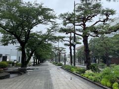 雨の官庁街通りを歩きます。