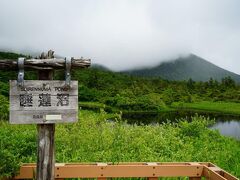 八甲田の山々に囲まれている睡蓮沼。主峰の大岳はガスがかかって見えません。