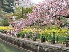 10:12　山科疏水をぐるっとお散歩開始