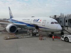 大阪国際空港
ANA543
伊丹（9:55）→鹿児島(11:15)