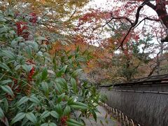 お昼の後は、嵯峨嵐山文華館のお隣にある宝厳院へ