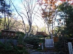 祇王寺
平清盛とその愛人（といってよいのか）白拍子の祇王や仏御前ゆかりのお寺