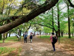 近江大橋を渡った後は、膳所城跡公園を通って更に歩いていきます。　この公園、桜の時期はめちゃくちゃ賑わっているようなので、来年は是非行ってみたいなと思ってます。