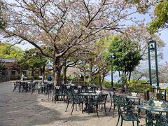中庭のグラバーカフェ。
残念ながら桜が散っていた。長崎は暖かいので三日ももたない。
