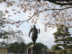 駿府城公園に来た。久能山へ向かう沿道も桜が見頃だったが、ここも満開。
