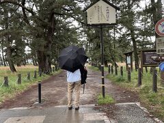 さて傘松公園から降りたら徒歩で天橋立を渡ります。全長3.6キロ50分かかるそうです。雨が降り出しました。