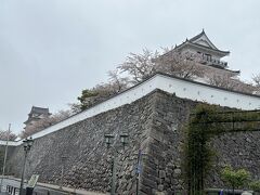 １２時ぐらいに福山駅到着。
ホテルに荷物を置いて移動。
福山城は、駅のすぐそばなんですね。
近いし、大きいし、インパクトありますね。
散り際ですが、桜はまだ咲いてますね。