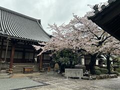 目的もなく、医王寺の方に歩いてます。
桜が咲いてます。