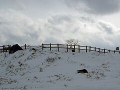 以前歩いた峠の柵が見えます。巨大な岩がごろごろしているのでこの雪では先端までで歩くことは難しいかもしれません。
