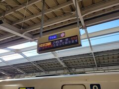 この日はJR東海ツアーズのずらし旅を利用して
新幹線で日帰り東京。