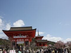 公園は八坂神社にも隣接していますが、昨年12月に八坂神社は訪ねているので清水寺に向かいます