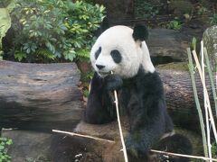 台北市立動物園