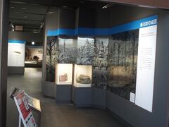 いざ展示室へ。
そもそも石炭とは？
時代：主に新生代古第三紀(2500～6500万年前)
原料：海岸平野-三角州湖沼(湖沼沢)地に堆積した陸生植物
過程：完全に分解される前に(地盤沈降して)熱変成作用を受けたもの