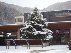 「鬼怒川温泉駅」まで送ってもらい、旦那はボードをしにハンターマウンテンへ

雪が降って駅前の木に積もった雪が良い感じ