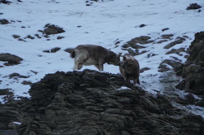 カツーンって音が聞こえてきそう