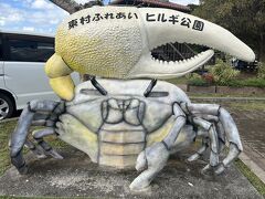 ヒルギ公園に行って、マングローブ林を歩きます。残念ながらシオマネキの姿は私は見つけられませんでしたがシオマネキがいるので空気穴がいっぱいでした。