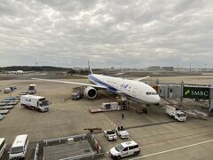 そして帰国。成田に戻ってきました。777さん、長旅おつかれさまでした。