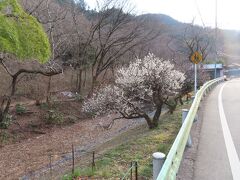 旧甲州街道の風景、裏高尾と言われている所です