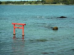 天草は「海にうかぶ博物館」といわれ、傾斜した地層が風化や浸食によってつくるケスタ地形に、天草陶石が採掘されるような特徴的な地質や地形の宝庫です。天草の地層は1億年の歴史を記録しているといわれています。この鳥居は2019年10月に完成しましたが、この先にあるのが「おっぱい岩」です。この「おっぱい岩」は雲仙岳の噴火で飛んできた石からできたといわれいます。残念あガラ干潮にならないとその全体は見えないようです。