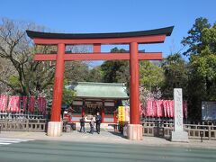 隣接する「大歳御祖神社」の鳥居前から真っ直ぐ伸びる「静岡浅間通り商店街」を南下します