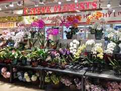 MRT ラッフルズプレイス駅構内には花屋さんも入っている。調べてみると、この花屋さん「Steve Florists」は国内に多数の店舗を展開する有名店のようだ。ここでも洋蘭の花が美しくディスプレイされている。