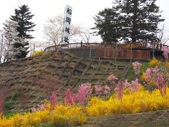 千桜橋の上で撮ります
ここ撮影してる場所は船岡城址公園の近くの橋です